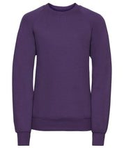 Kids raglan sleeve sweatshirt