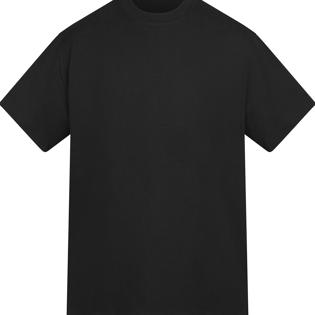 Anthem Amplify heavyweight t-shirt