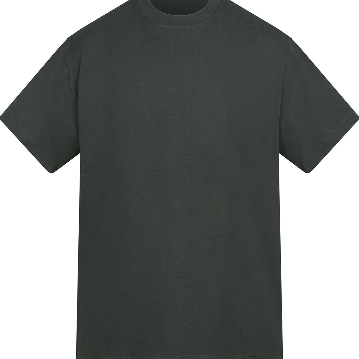 Anthem Amplify heavyweight t-shirt