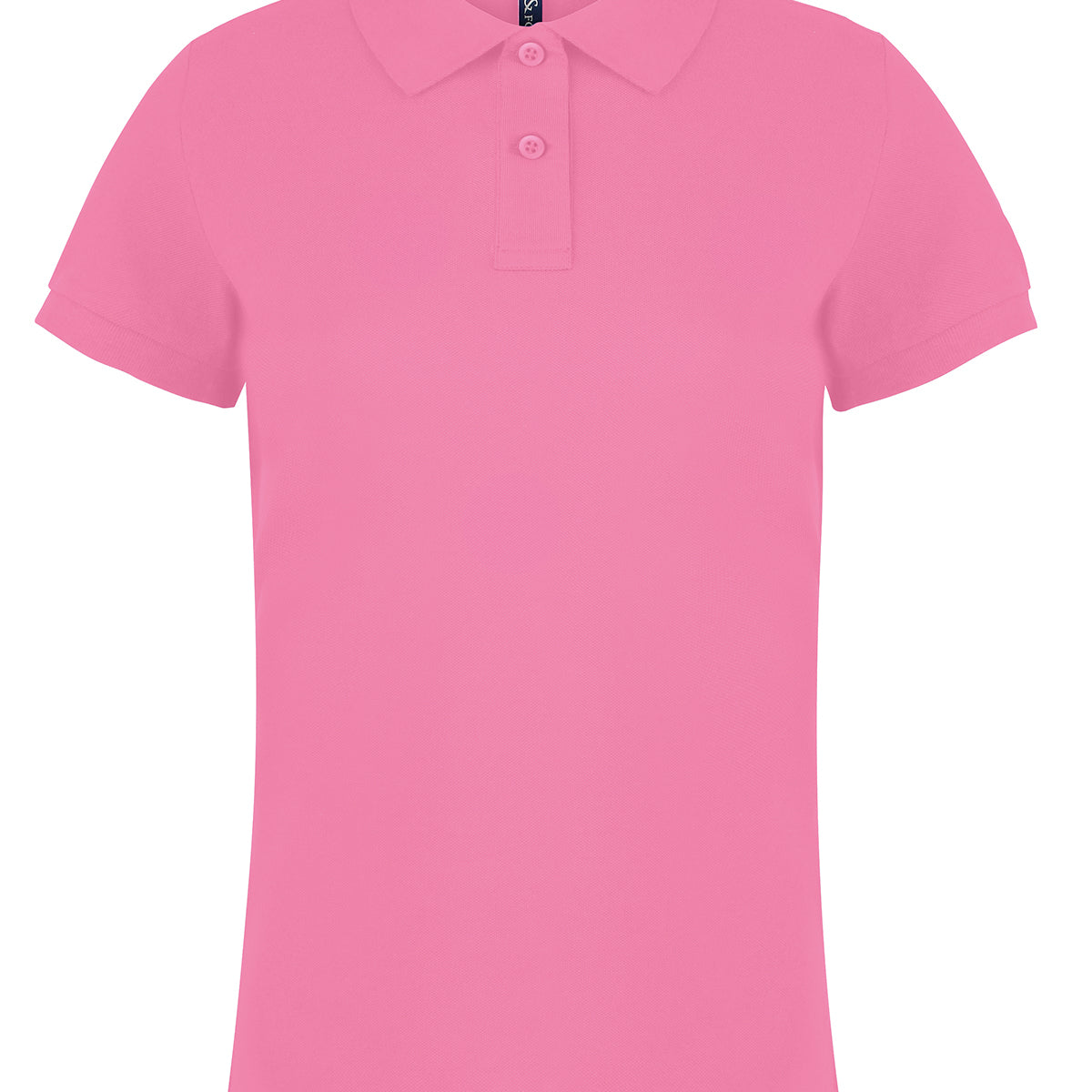 aq020_pinkcarnation_ft.jpg