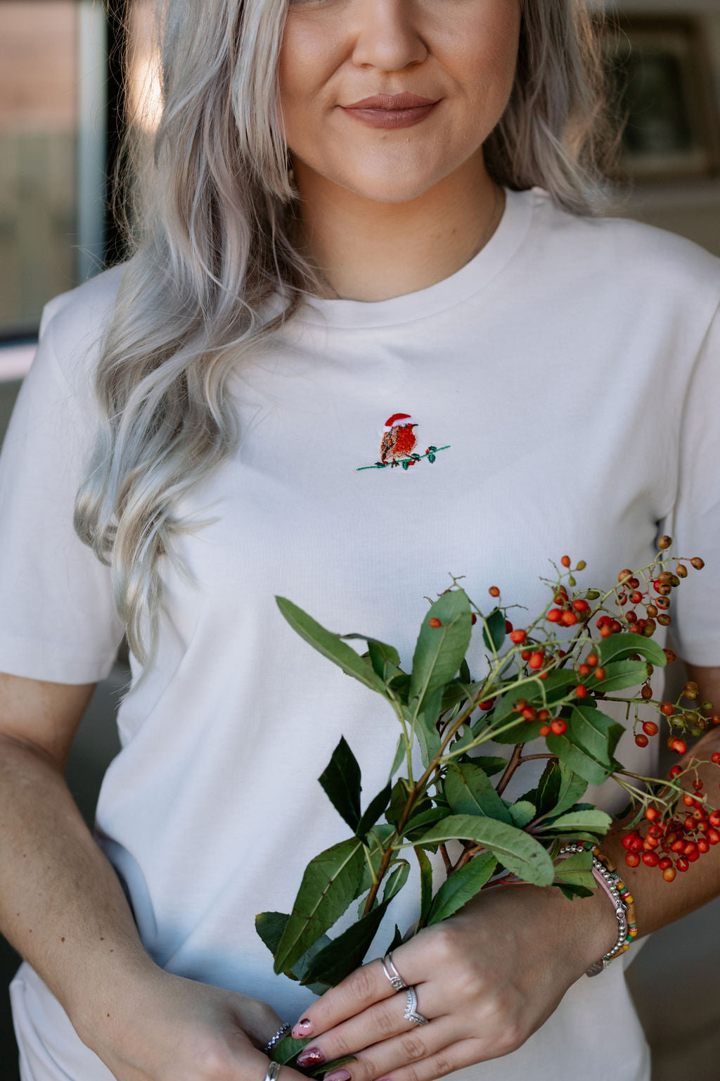Santa Robin T-Shirt